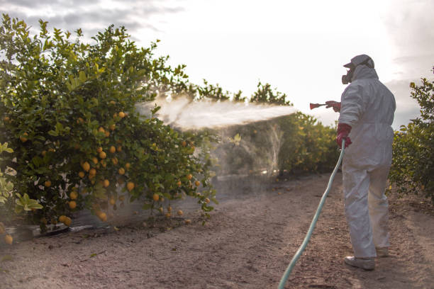 Best Affordable Pest Control Services  in Depoe Bay, OR