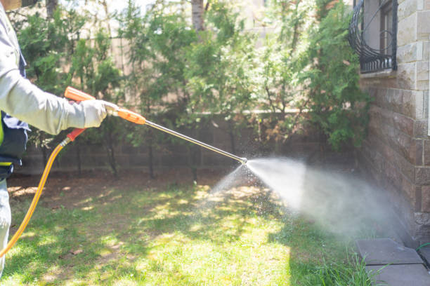 Best Ant Control Services  in Depoe Bay, OR