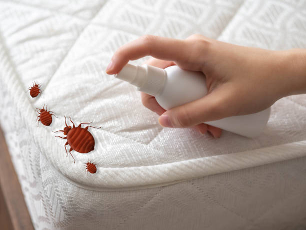 Best Termite Control Services  in Depoe Bay, OR