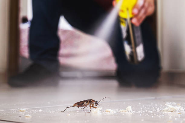 Best Bed Bug Extermination  in Depoe Bay, OR