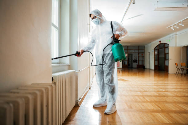 Best Affordable Pest Control Services  in Depoe Bay, OR