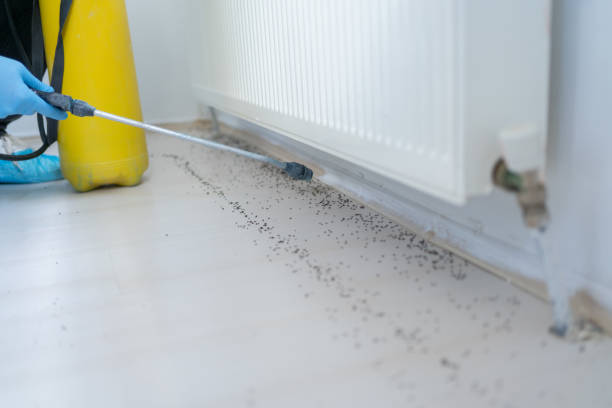 Best Best Pest Control Companies  in Depoe Bay, OR